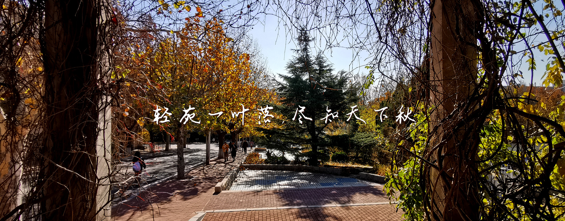 杏彩体育