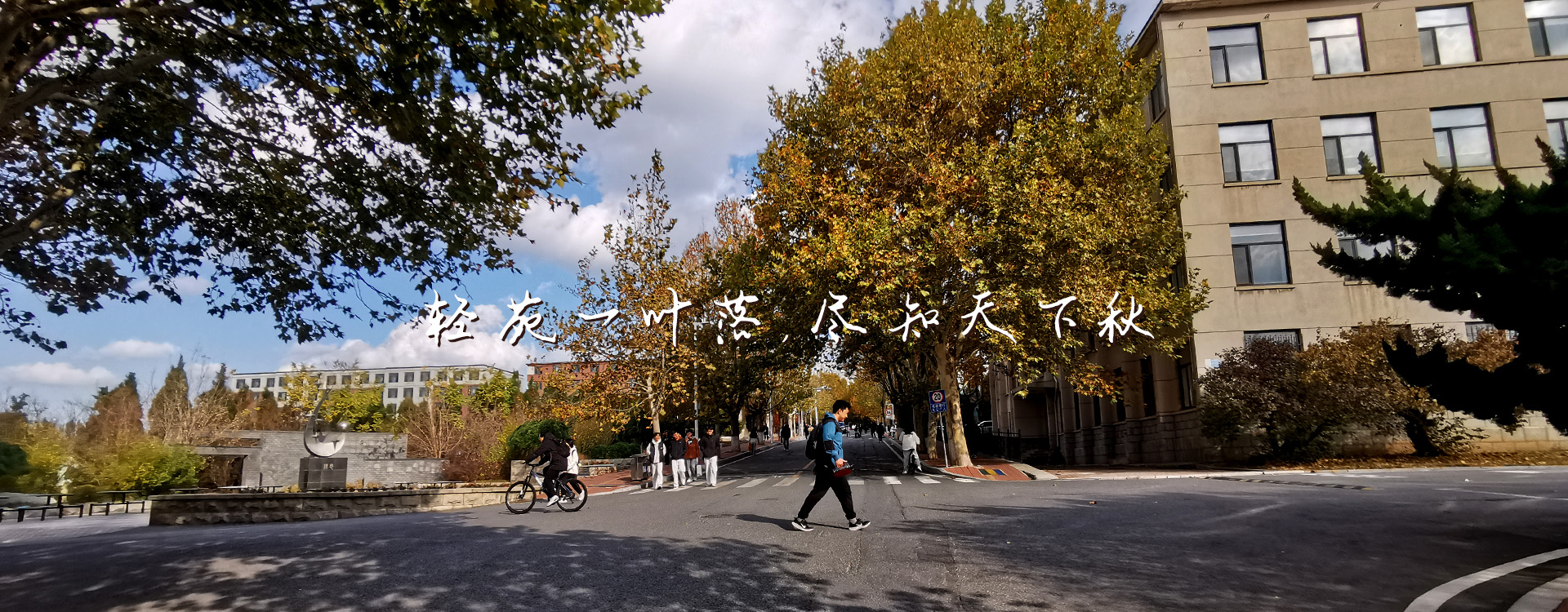 杏彩体育